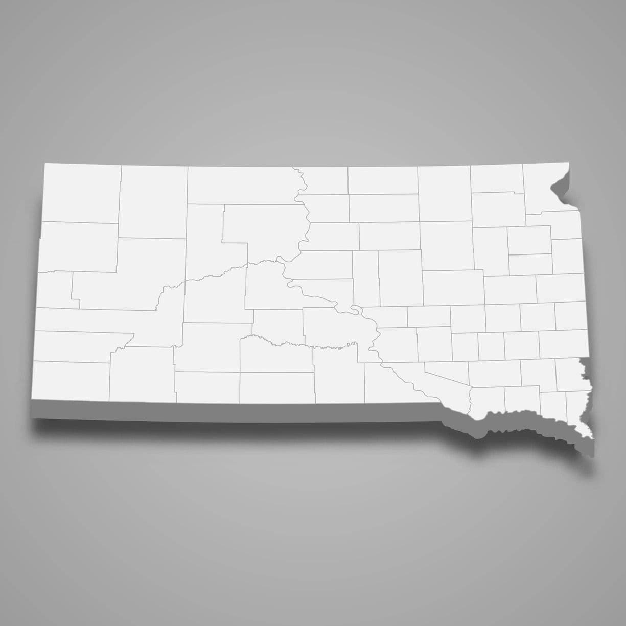 Auctions in South Dakota