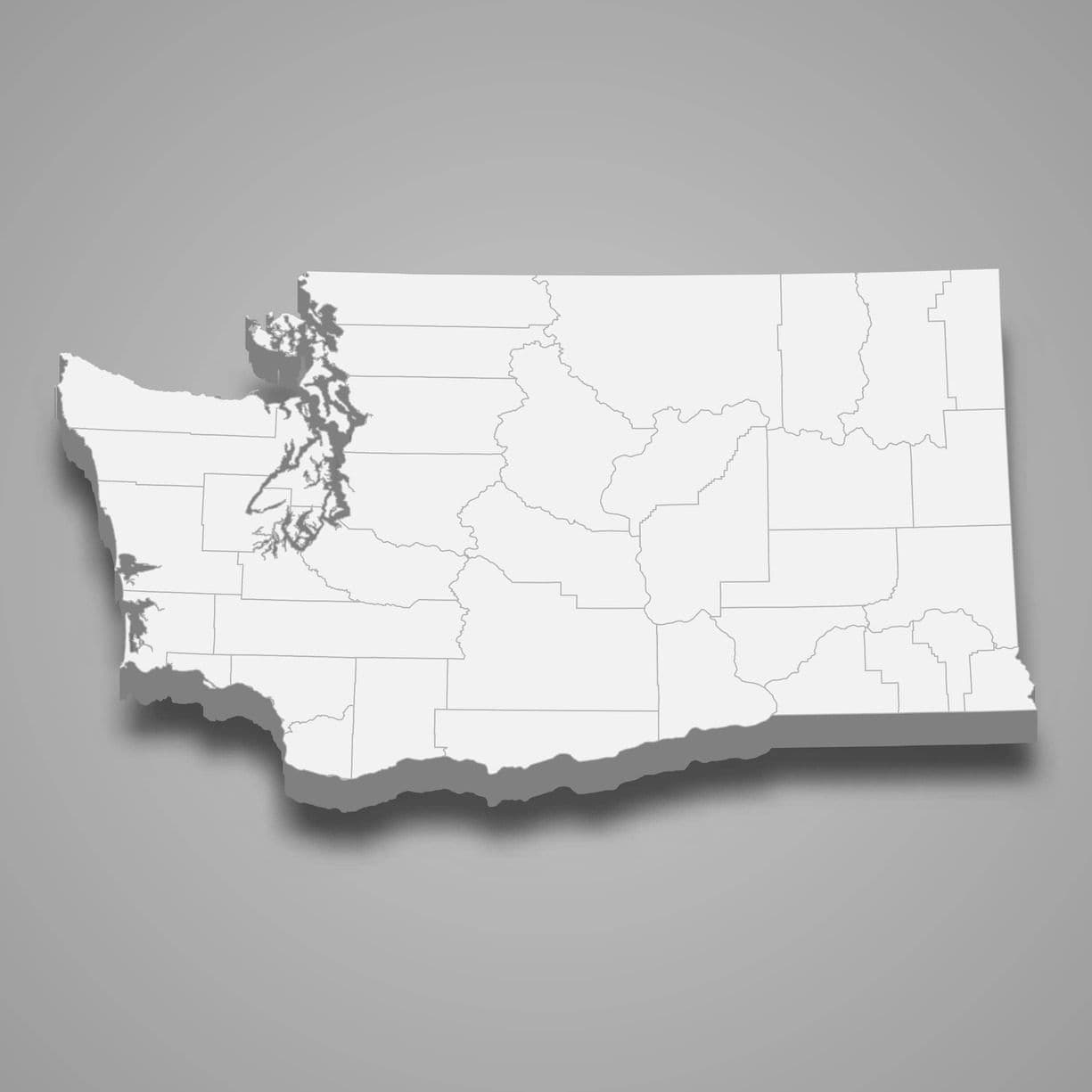 Auctions in Washington